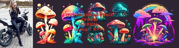 ECSTASY Горняк