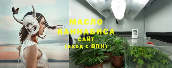 ECSTASY Горняк