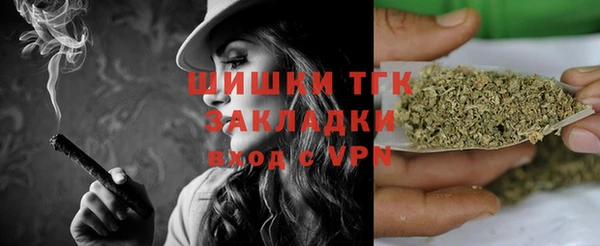 ECSTASY Горняк