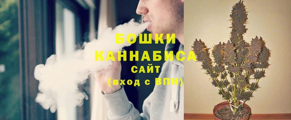 ПСИЛОЦИБИНОВЫЕ ГРИБЫ Горно-Алтайск