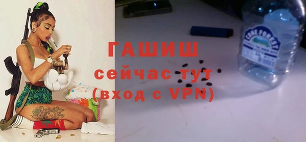 ECSTASY Горняк