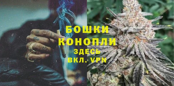 ПСИЛОЦИБИНОВЫЕ ГРИБЫ Горно-Алтайск