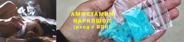 ПСИЛОЦИБИНОВЫЕ ГРИБЫ Горно-Алтайск