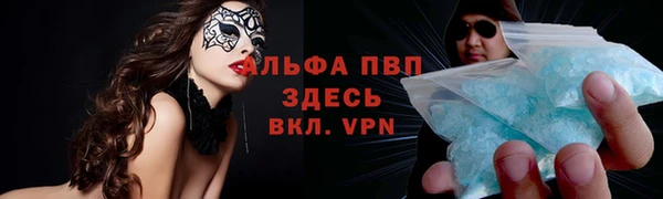 ПСИЛОЦИБИНОВЫЕ ГРИБЫ Горно-Алтайск