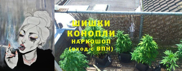 ПСИЛОЦИБИНОВЫЕ ГРИБЫ Горно-Алтайск