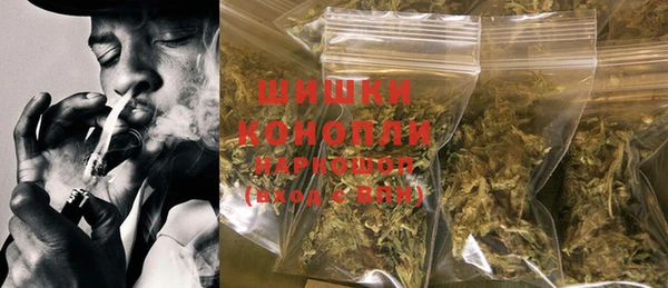 ECSTASY Горняк