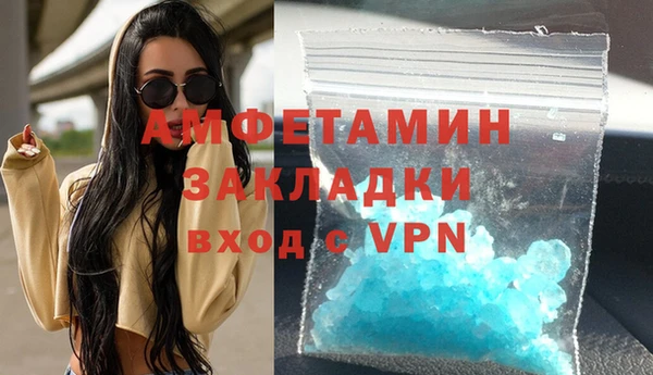 ПСИЛОЦИБИНОВЫЕ ГРИБЫ Горно-Алтайск