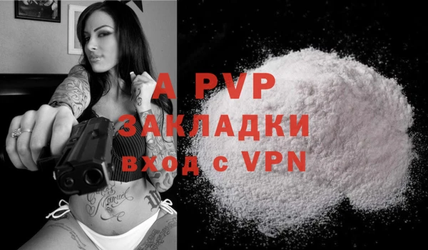 ПСИЛОЦИБИНОВЫЕ ГРИБЫ Горно-Алтайск