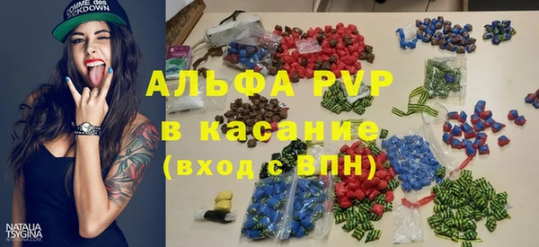 ECSTASY Горняк