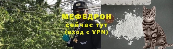 ECSTASY Горняк