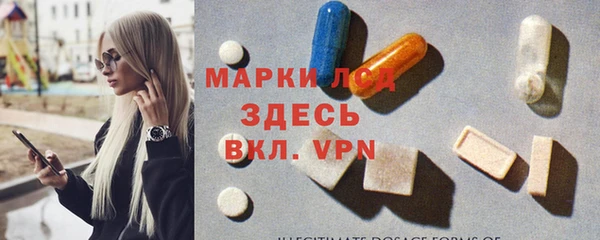 ПСИЛОЦИБИНОВЫЕ ГРИБЫ Горно-Алтайск