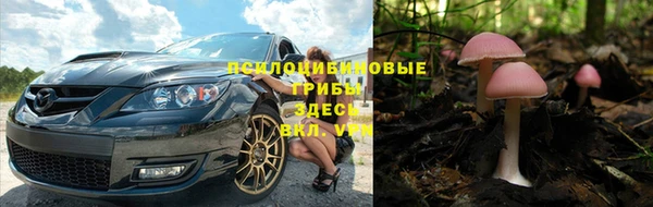 ПСИЛОЦИБИНОВЫЕ ГРИБЫ Горно-Алтайск