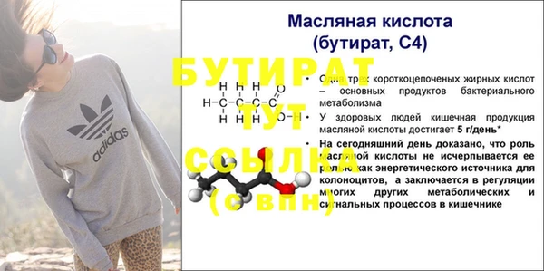 ПСИЛОЦИБИНОВЫЕ ГРИБЫ Горно-Алтайск