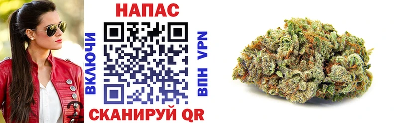 Купить  Шлиссельбург  Марихуана сатива 